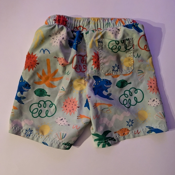 5T Boys Swim Bundle - 3 bathing suits + 1 rash guard - Picture 3 of 9